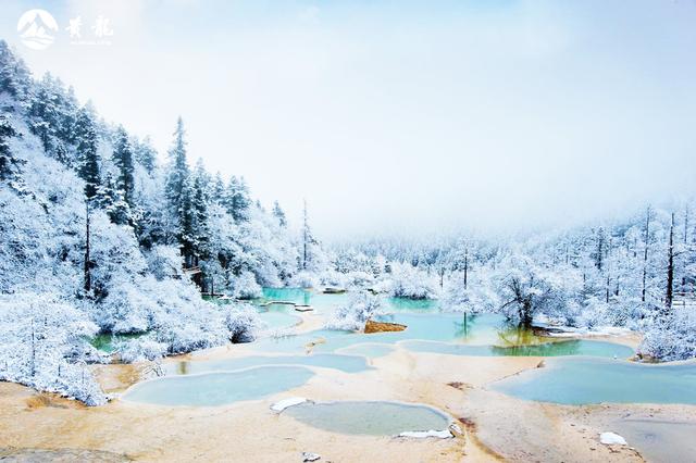 黃龍雪林