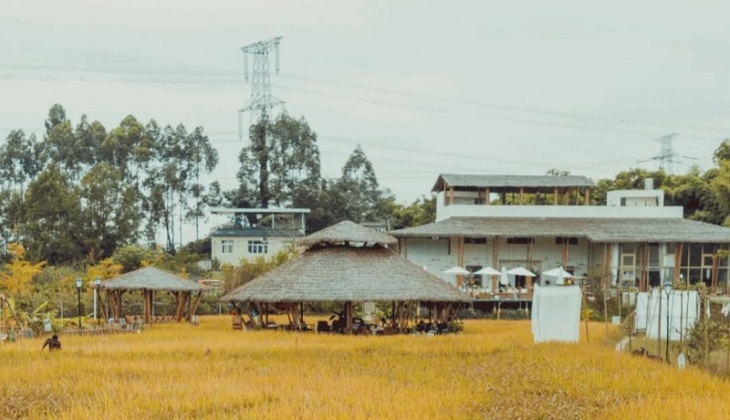 成都泰式農(nóng)場小草垛.jpg