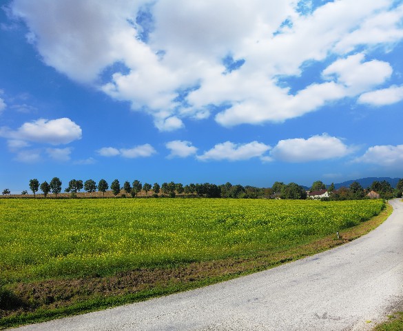 川藏公路 (7).jpg
